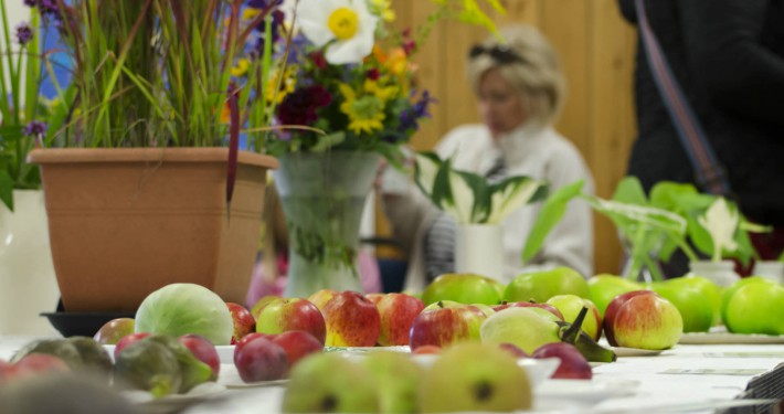 Apples and other fruits and vegetables on the table